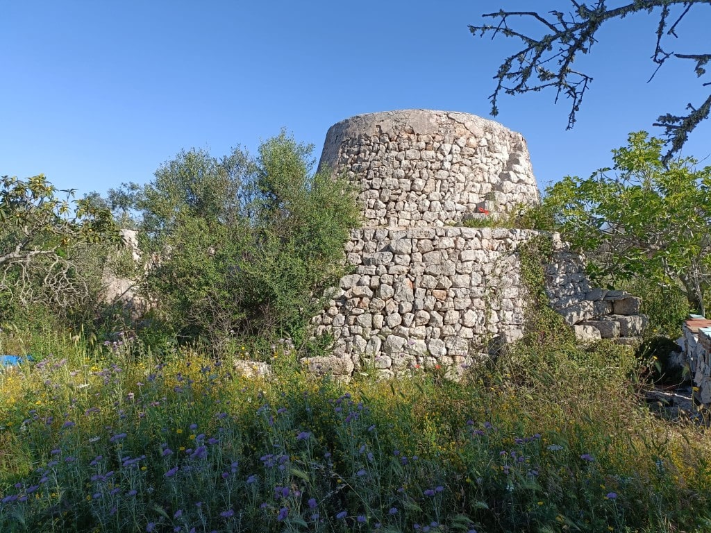 Giano Group Immobiliare